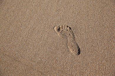 《百年孤寂》第1部正式预告 12月11日上线